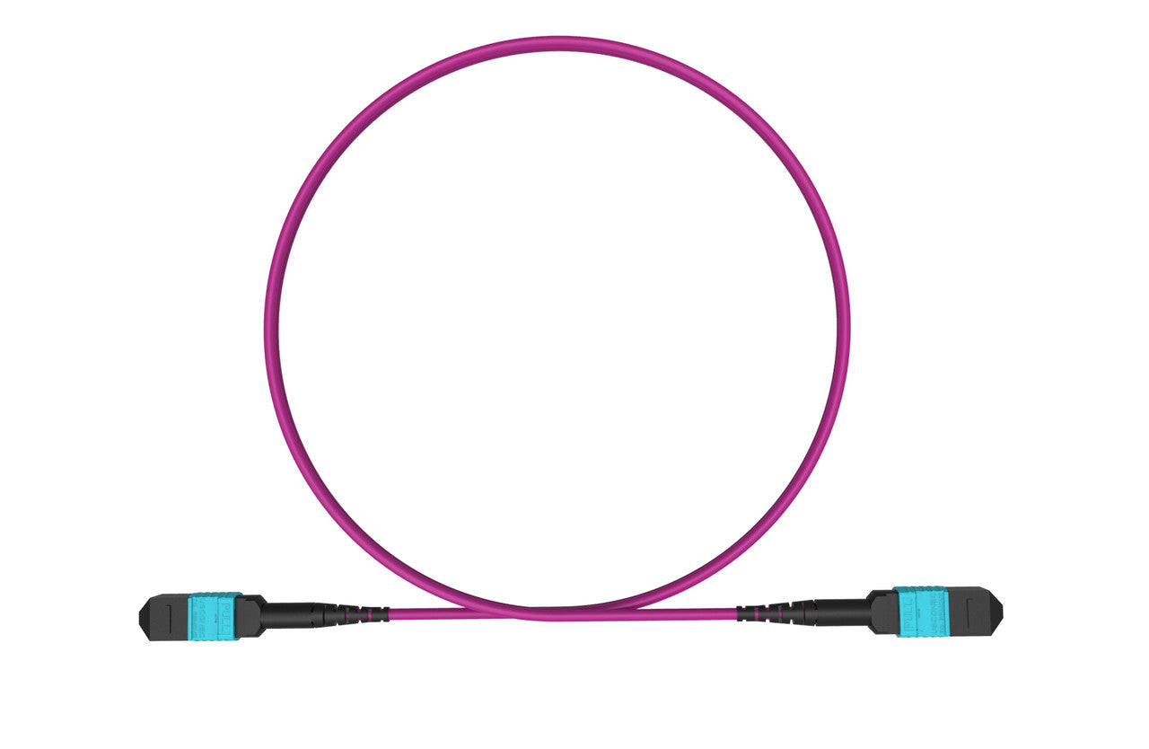 MPO female to MPO female fiber optic patch cord cable, 12 strands, Elite Low IL, OM4, 2m length, B polarity