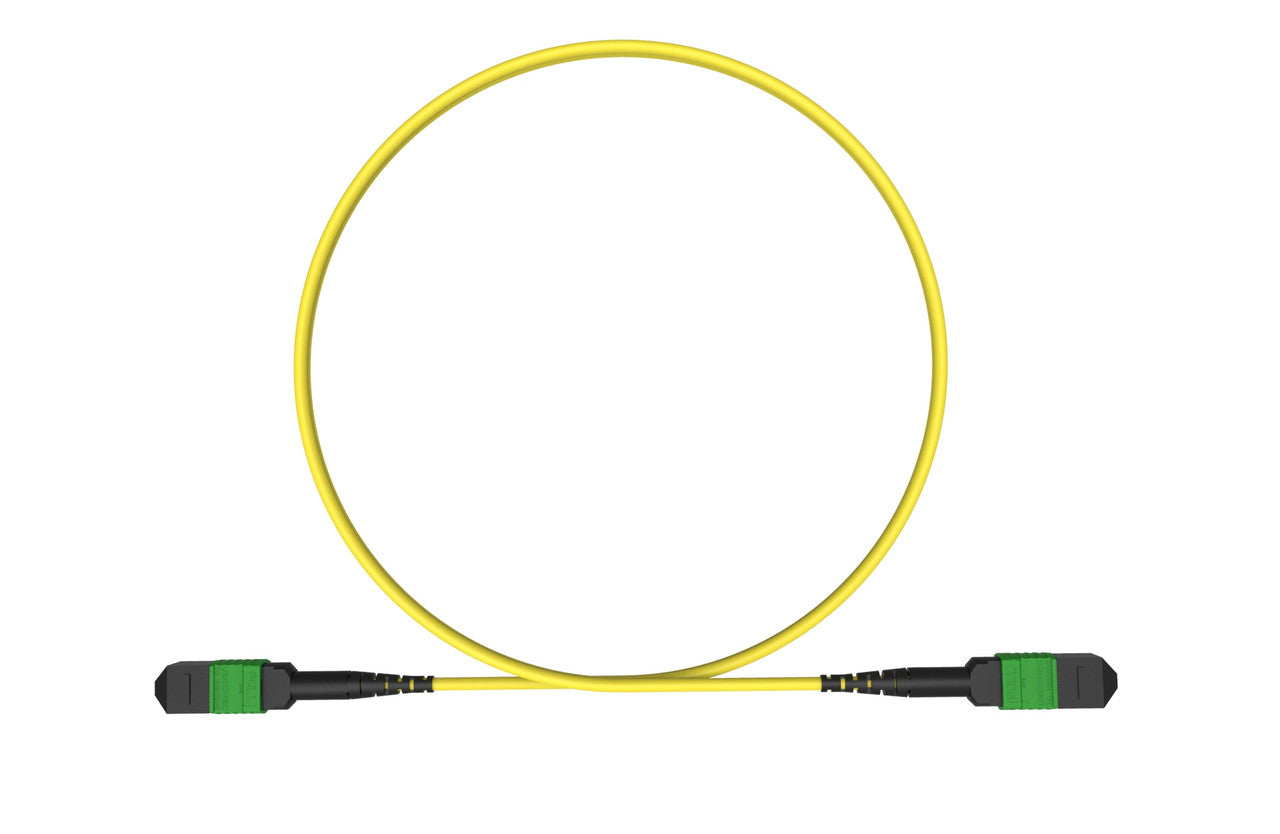 MPO female to MPO female fiber optic patch cord cable, 12 strands, Elite Low IL, SMF, 2m length, B polarity