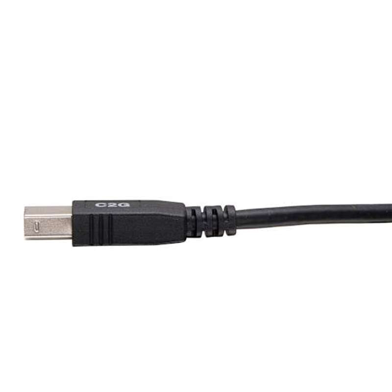 Cables To Go 3ft (0.9m) TAA-Compliant USB 2.0 A/B Cable