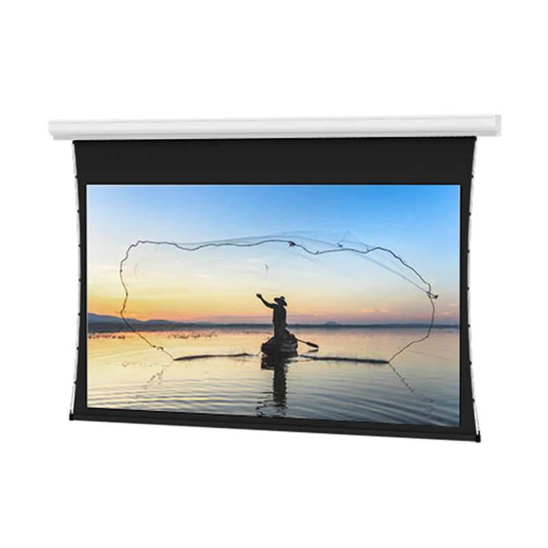Da-Lite Tensioned Designer Contour Electrol, 54" x 96" with Da-Mat