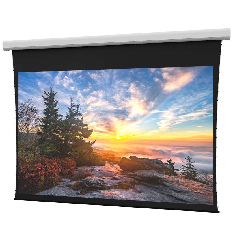 Da-Lite Myriad Reveal Screen, 110'' x 176'' with HD Progressive 1.1 Contrast Material
