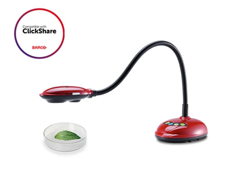 Lumens DC132U Ladibug HD Document Camera with 16× Zoom, 30 fps, Built‑In Microphone