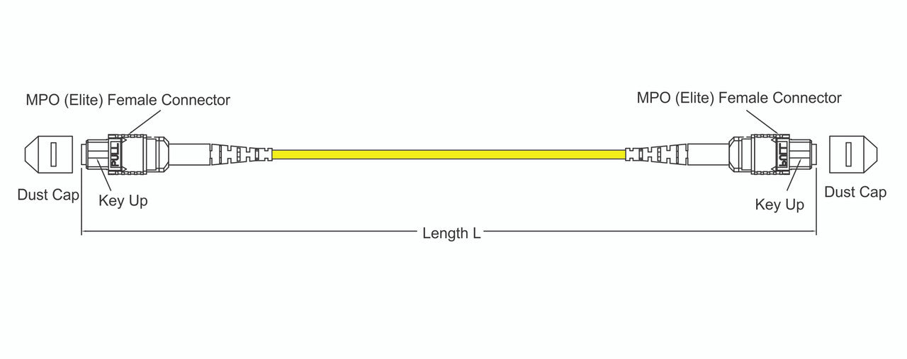 MPO female to MPO female fiber optic patch cord cable, 12 strands, Elite Low IL, SMF, 10m length, B polarity, per 10 meters