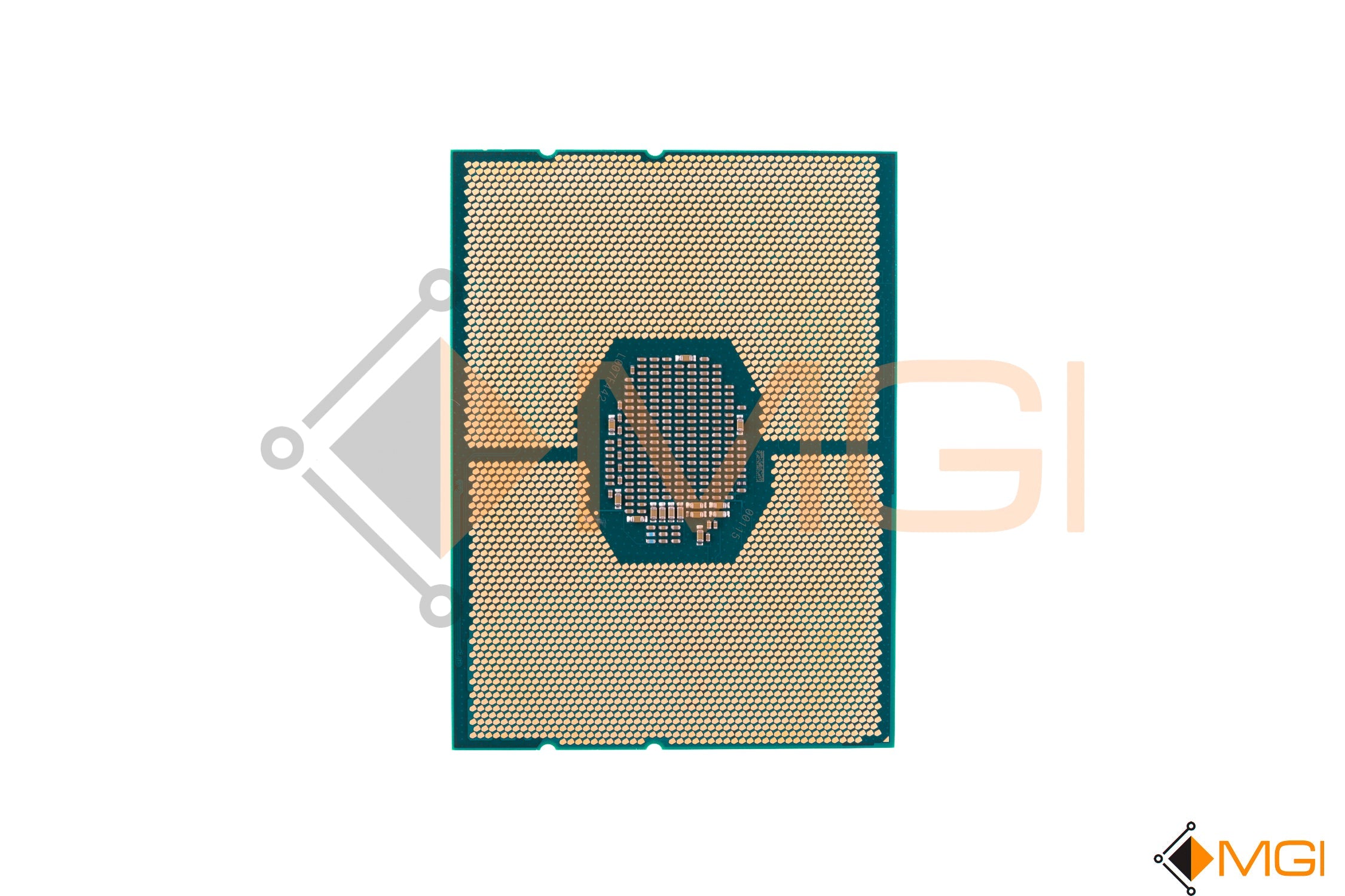 GOLD 6252 // SRF91