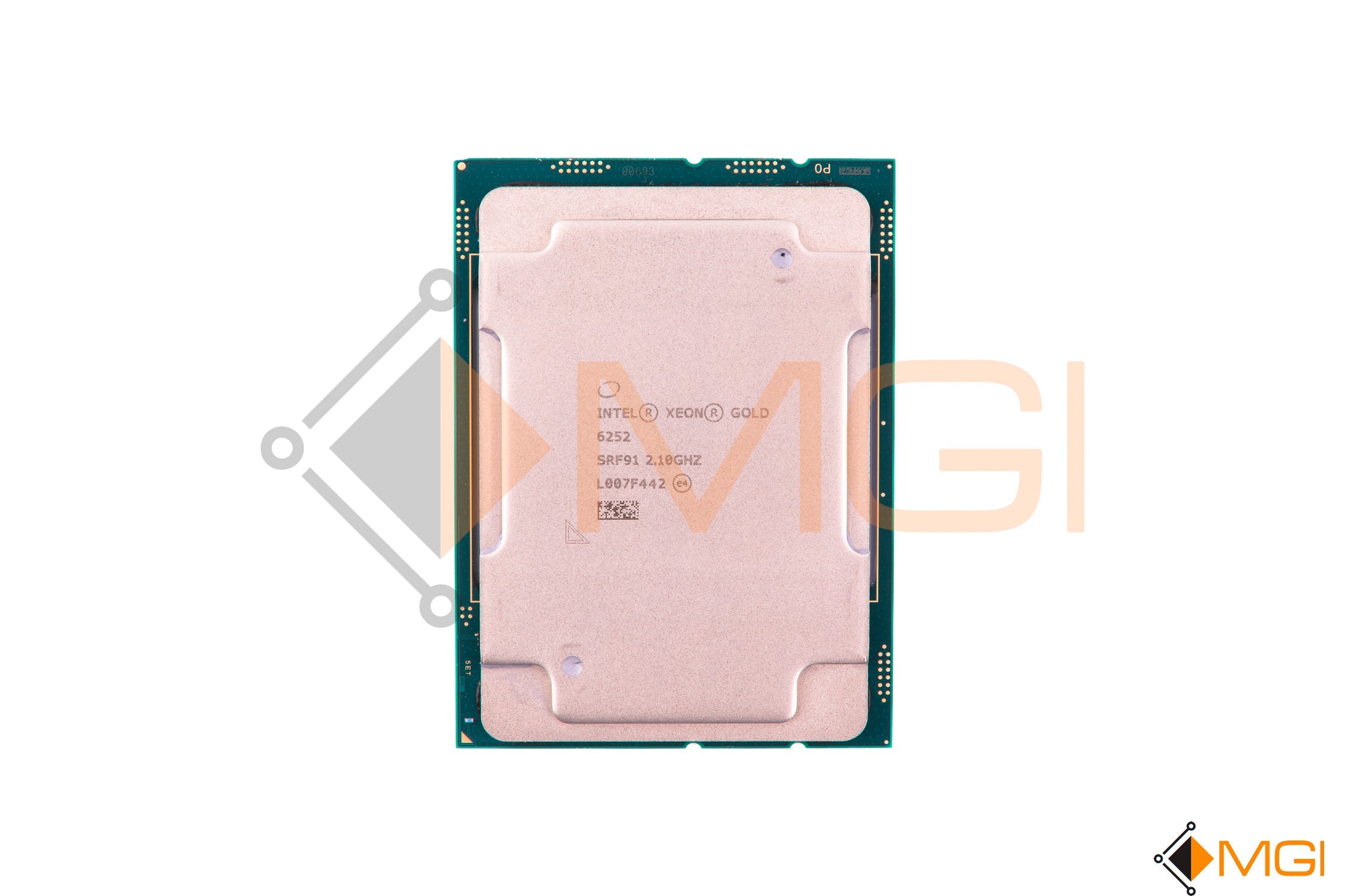 GOLD 6252 // SRF91