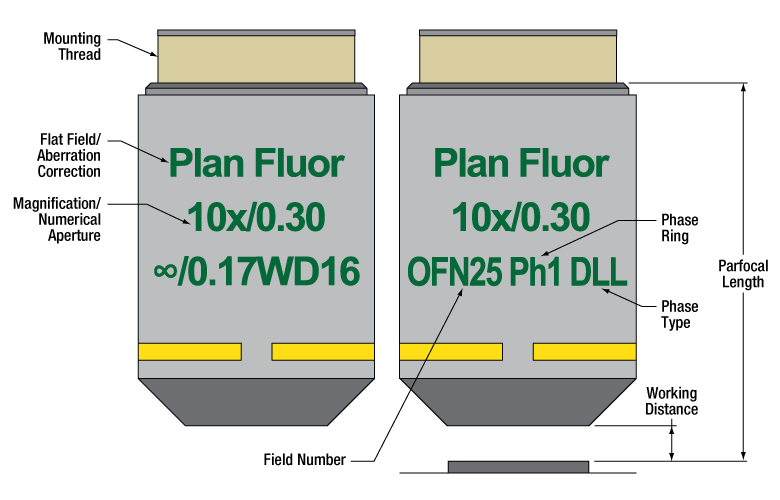 TH-N10X-PH - 10X Nikon Phase Contrast Objective, Dark Low Low, 0.30 NA, 16 mm WD