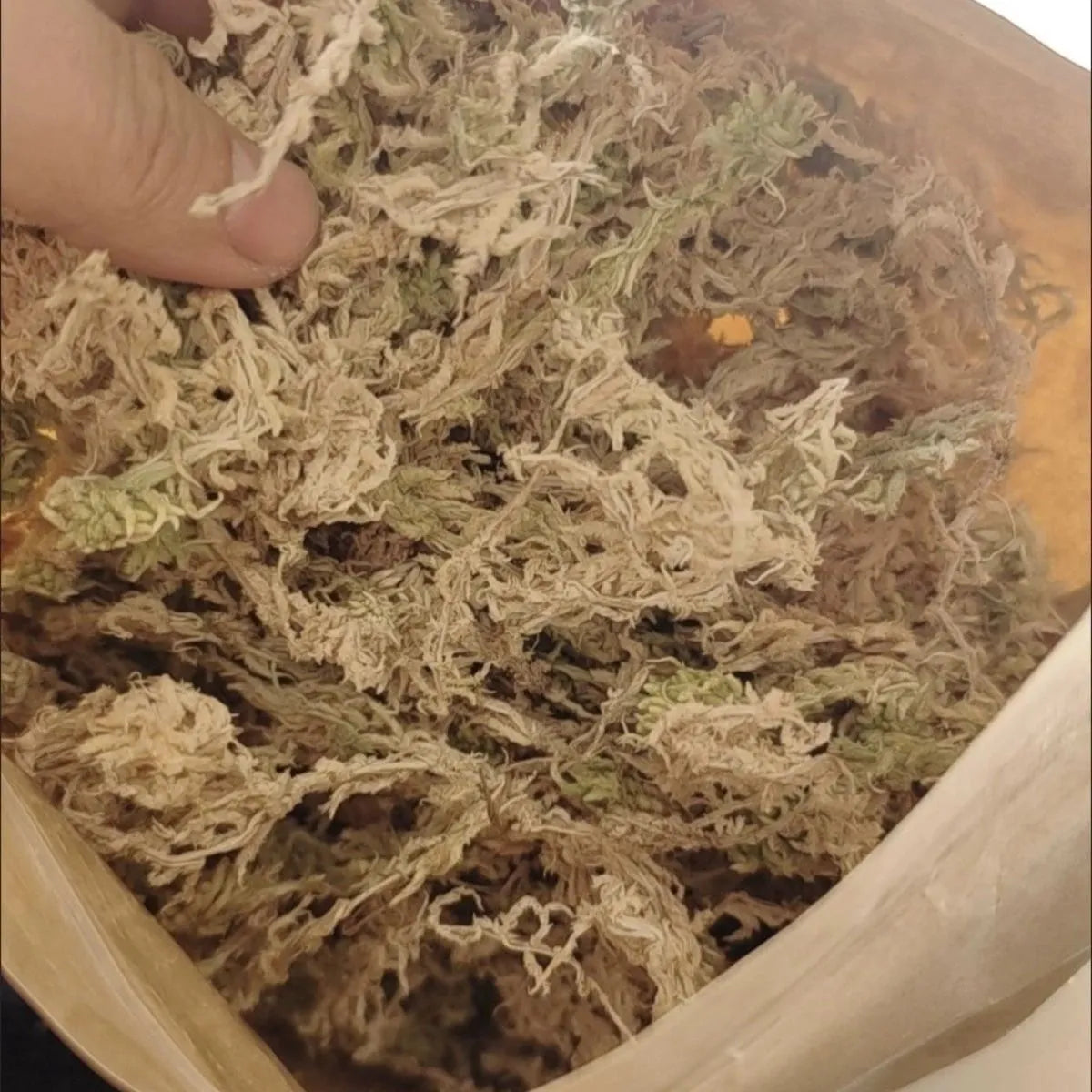 Premium Sphagnum Moss Long Fiber β 100% Natural Organic Moss for Orchids & Plants