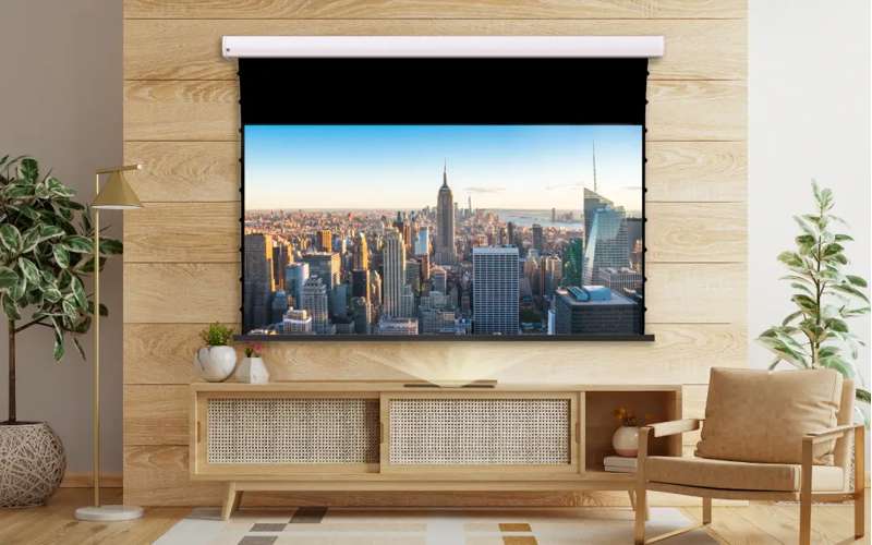 Screen Innovations Short Throw Motorized External Mount Screen, 44.1'' x 78.4'' with Short Throw Material