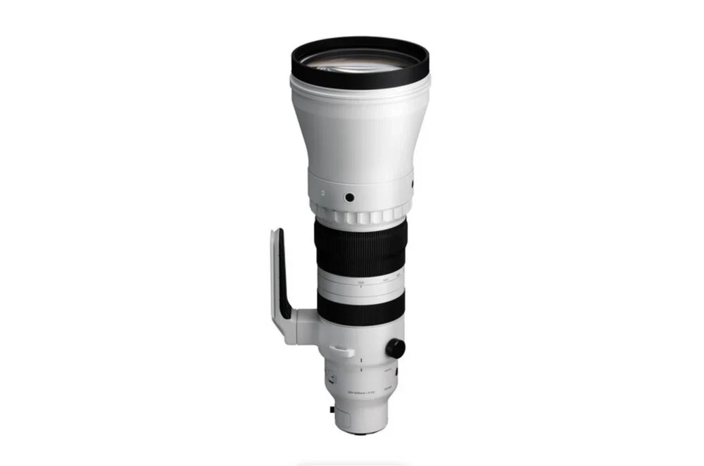 Sigma 300-600mm f/4 DG OS Sports Lens