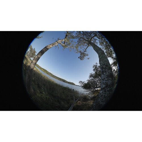 Canon RF 7-14mm f/2.8-3.5 L Fisheye STM Lens (Canon RF)