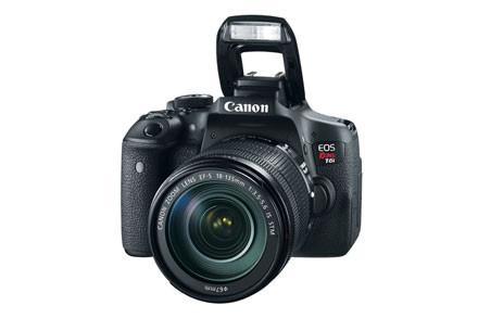 Canon EOS Rebel T6i 18-135 STM Camera Kit