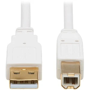 Eaton Tripp Lite Series Safe-IT USB 2.0 A to B Antibacterial Cable (M/M), White, 6 ft. (1.83 m)