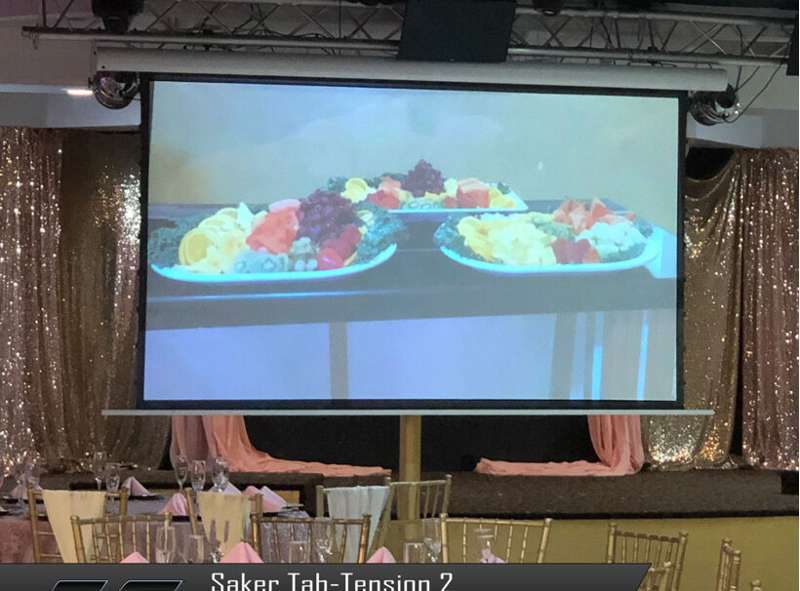 Elite Screens Saker Tab-Tension 2 Series, 150-inch Diag. 16:9 Electric Screen, CineWhite Material