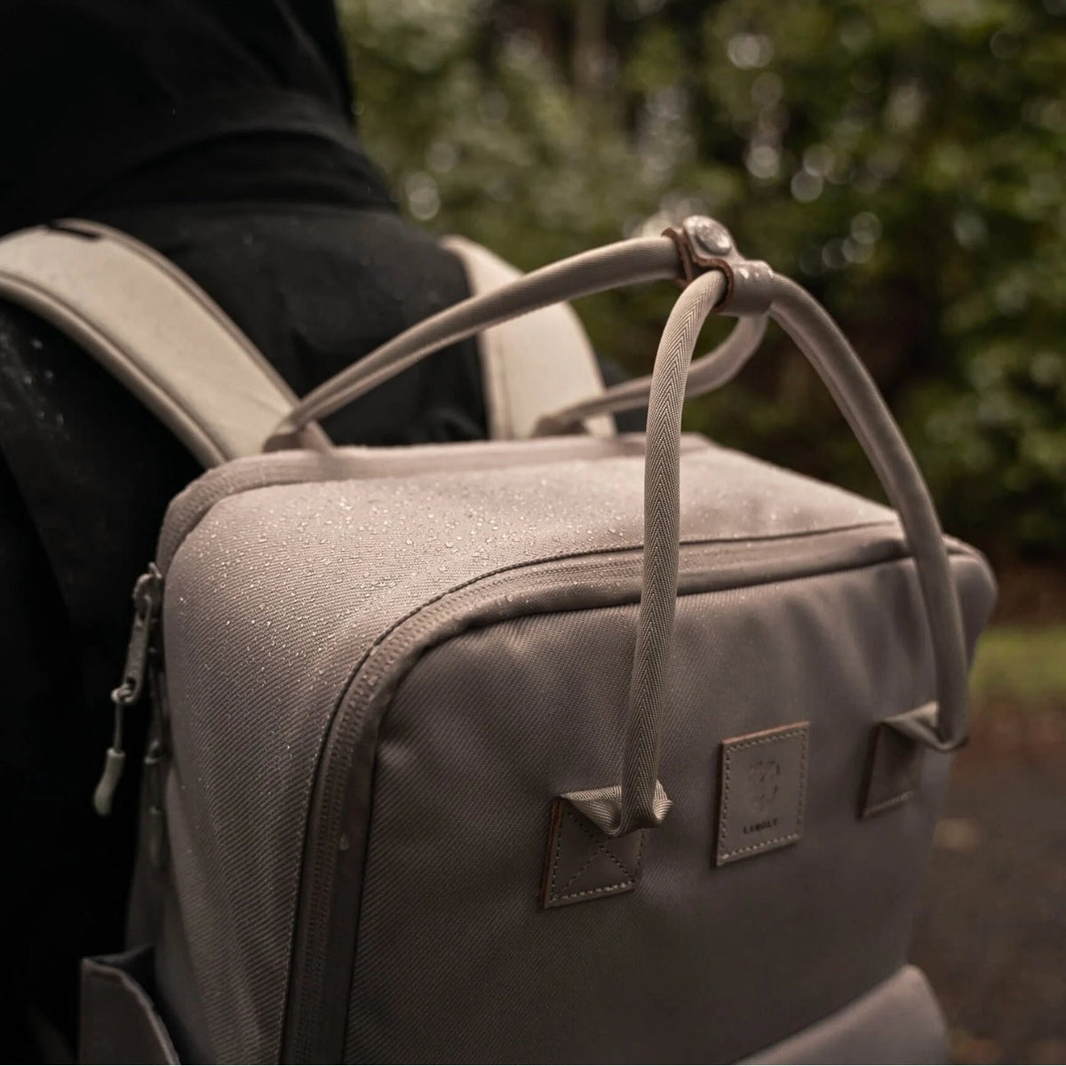 Langly Sierra Camera Backpack