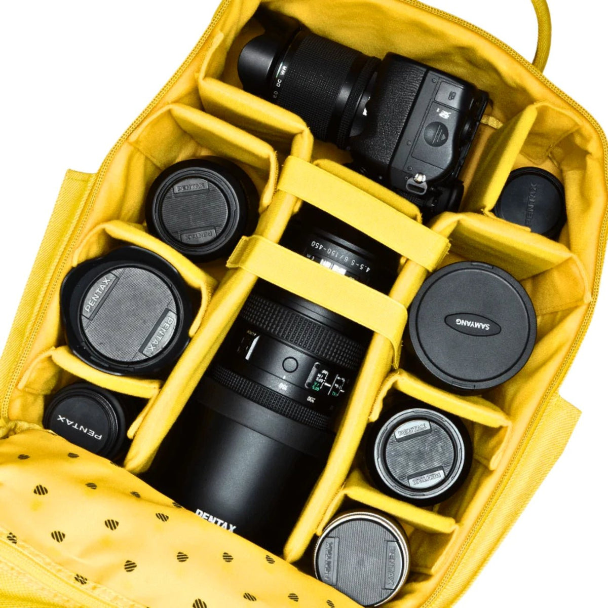 Langly Sierra Camera Backpack