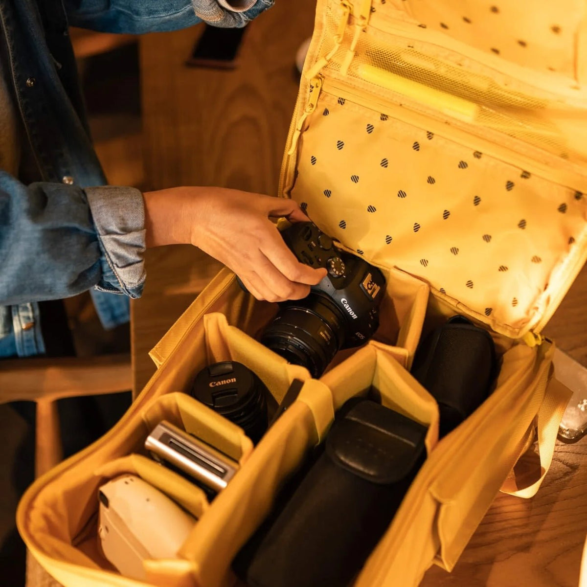 Langly Sierra Camera Backpack
