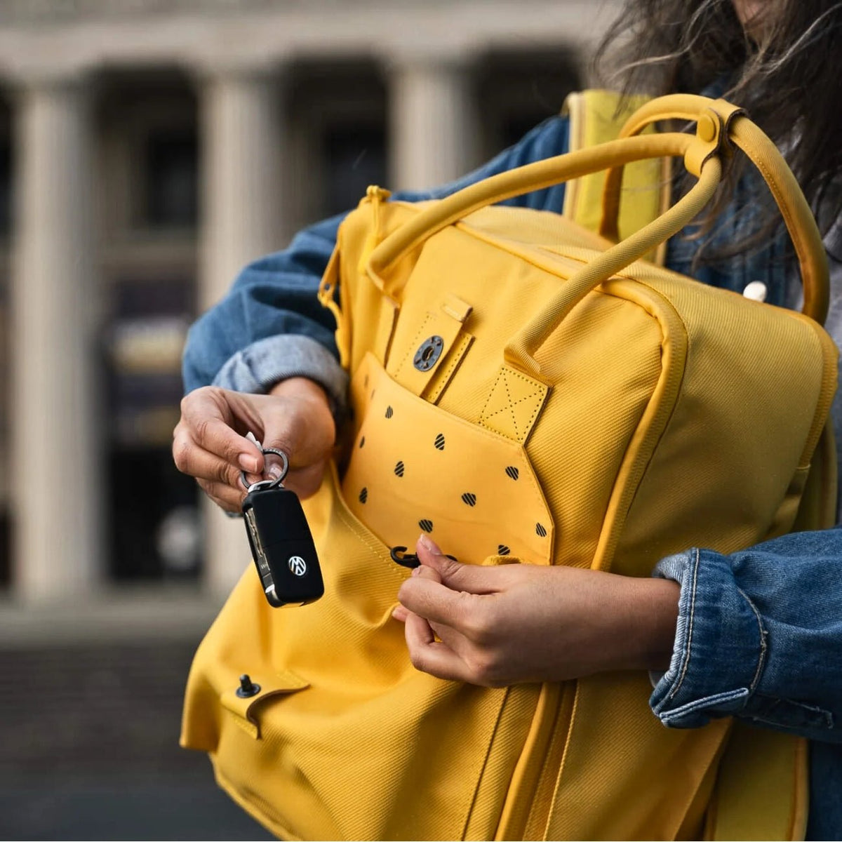 Langly Sierra Camera Backpack