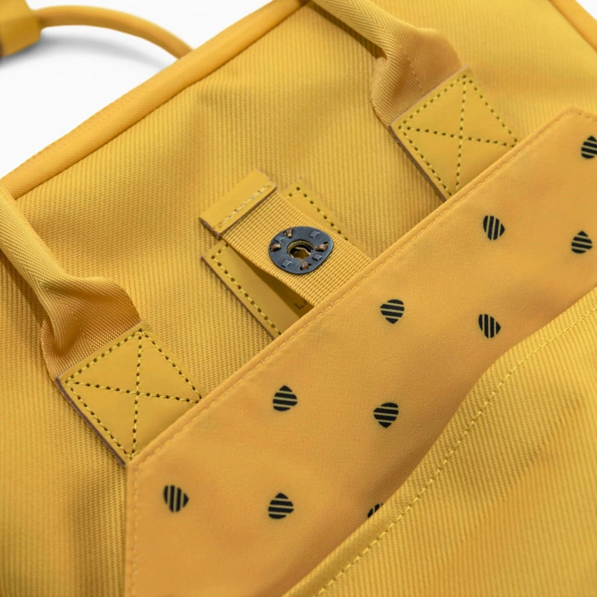Langly Sierra Camera Backpack
