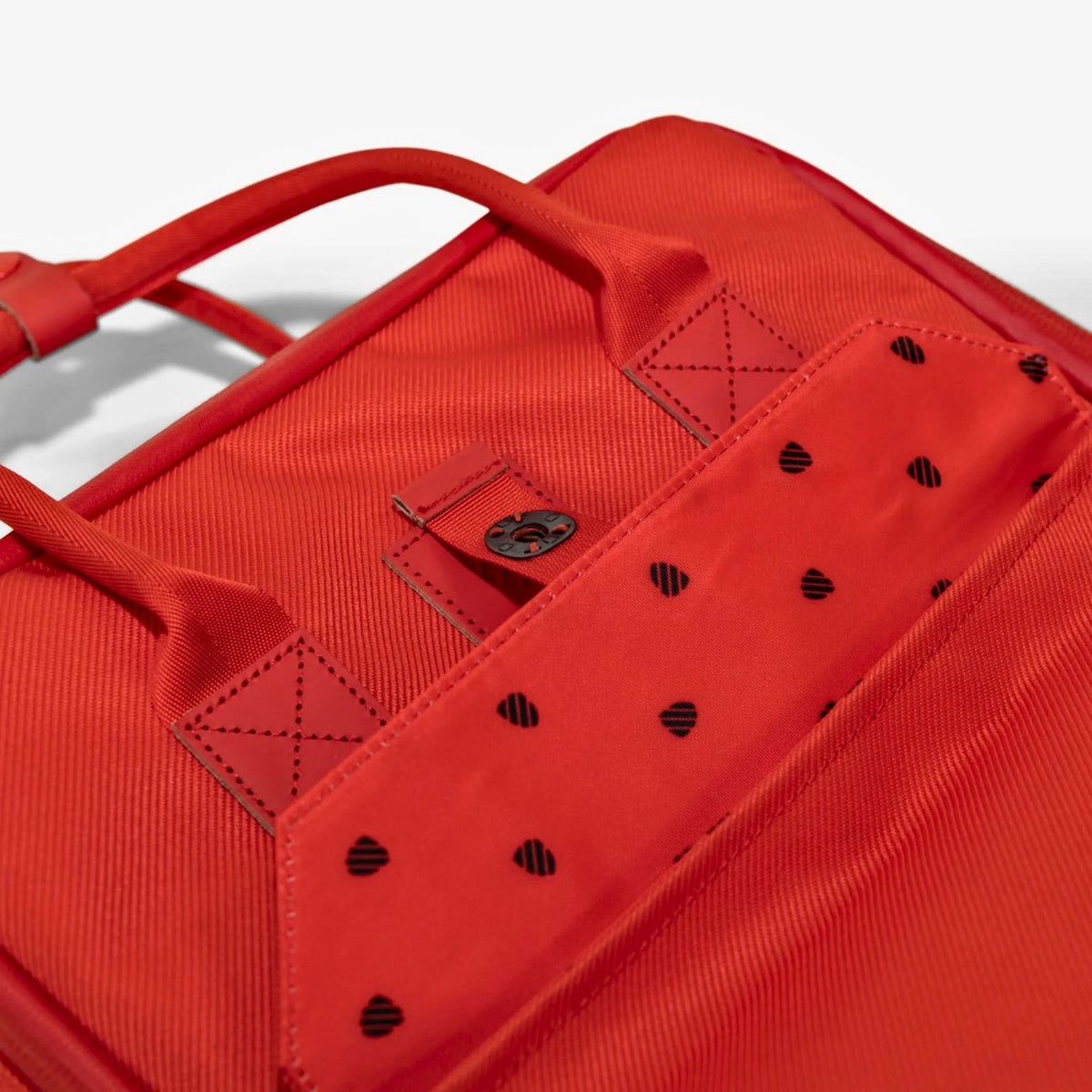 Langly Sierra Camera Backpack