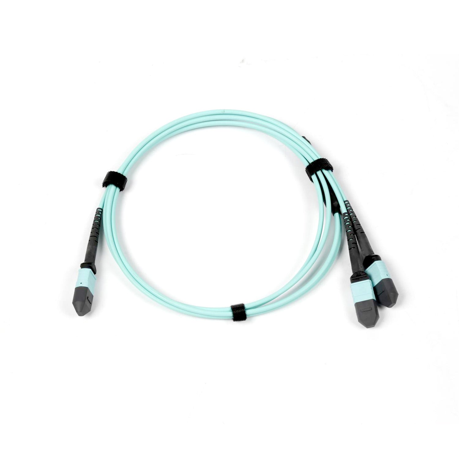 NSComm MPO 12F to 2xMPO 4F APC Breakout Cables, 8 Fibers, Multimode (OM3), OFNR, Low Loss, Polarity Type B