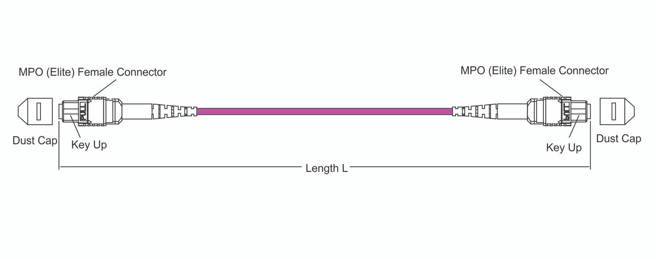 MPO female to MPO female fiber optic patch cord cable, 12 strands, Elite Low IL, OM4, 10m length, B polarity