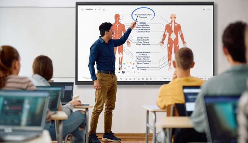 Optoma Creative Touch 5‑Series 65" 4K Ultra HD Interactive Display