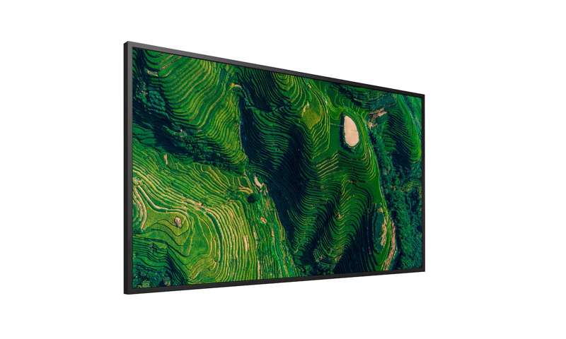 Sony BRAVIA 50" 4K HDR Enhanced Professional Display (FW50BZ35P)