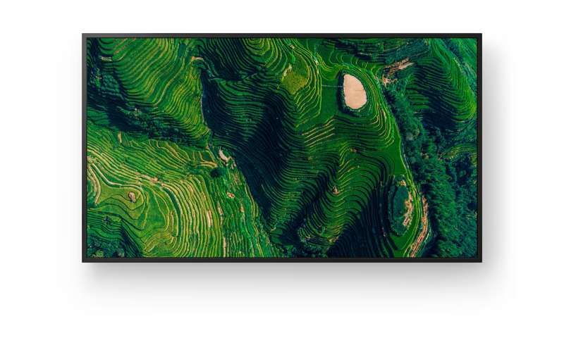 Sony BRAVIA 75" 4K HDR Enhanced Professional Display (FW75BZ35P)