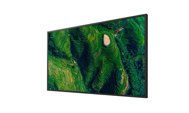 Sony BRAVIA 85" 4K HDR Enhanced Professional Display (FW85BZ35P)