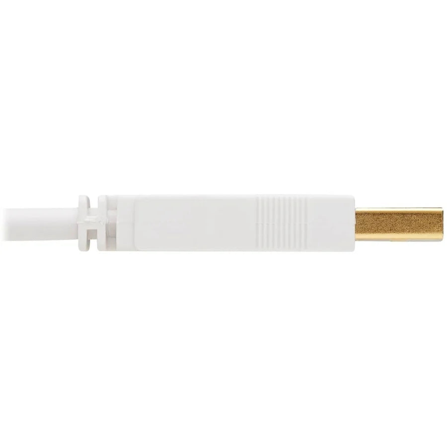 Eaton Tripp Lite Series Safe-IT USB 2.0 A to B Antibacterial Cable (M/M), White, 6 ft. (1.83 m)